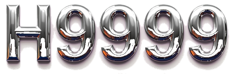 h9999 logo